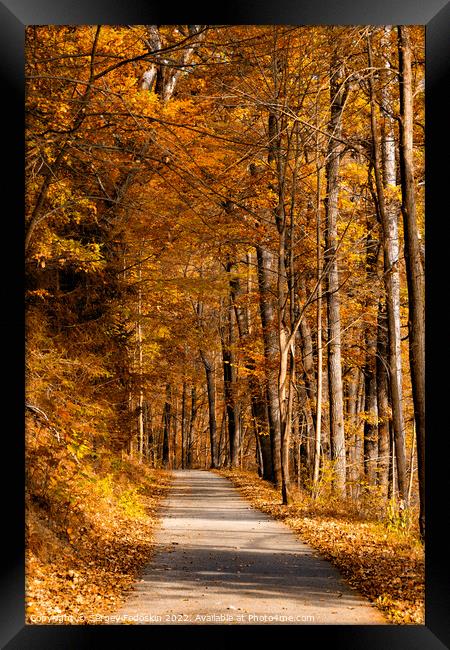 Road in the autumn forest. Framed Print by Sergey Fedoskin