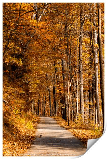 Road in the autumn forest. Print by Sergey Fedoskin
