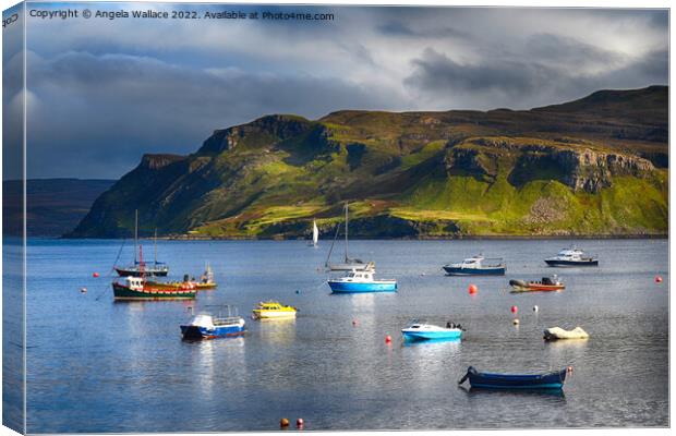 The Harbour at Portree Canvas Print by Angela Wallace