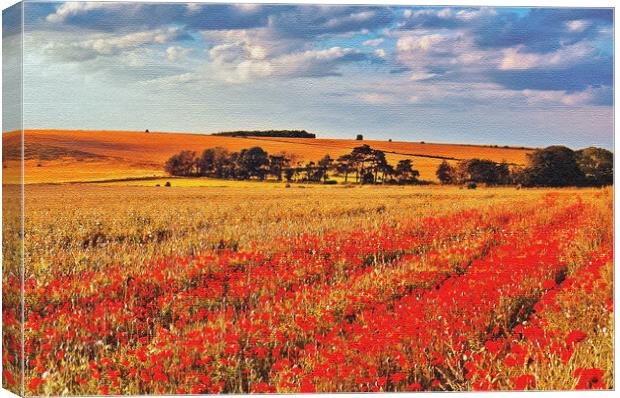 Poppies in the Crop Field Canvas Print by Joyce Storey