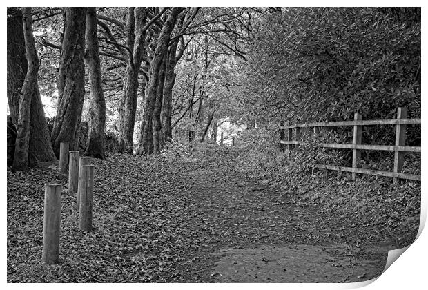 Country Walk - Mono Print by Glen Allen