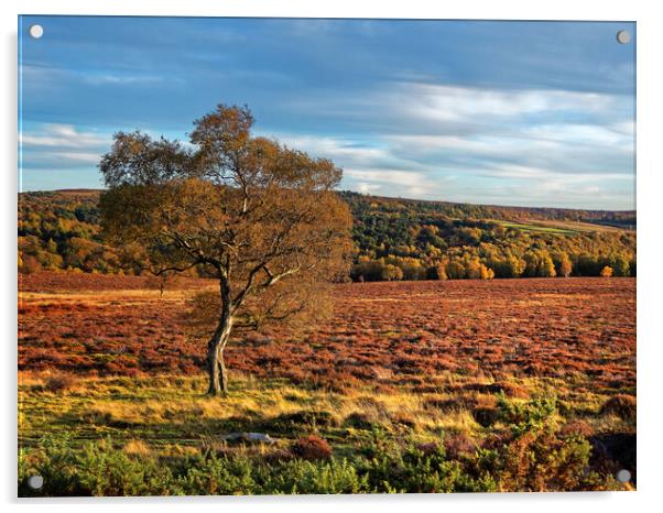 Lawrence Field in Autumn Acrylic by Darren Galpin
