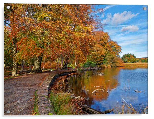 Longshaw Pond     Acrylic by Darren Galpin