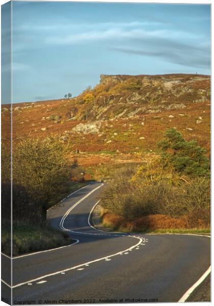 Burbage Edge Canvas Print by Alison Chambers