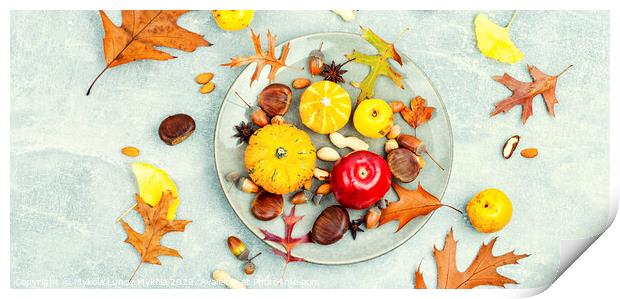Autumn food, pumpkins and nuts. Print by Mykola Lunov Mykola