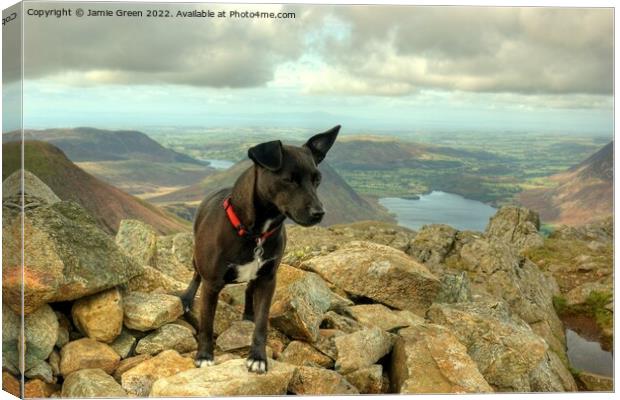 Patterdale On Top Canvas Print by Jamie Green