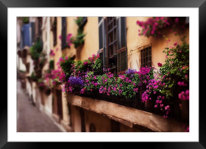 Italian Town Framed Mounted Print by Picture Wizard