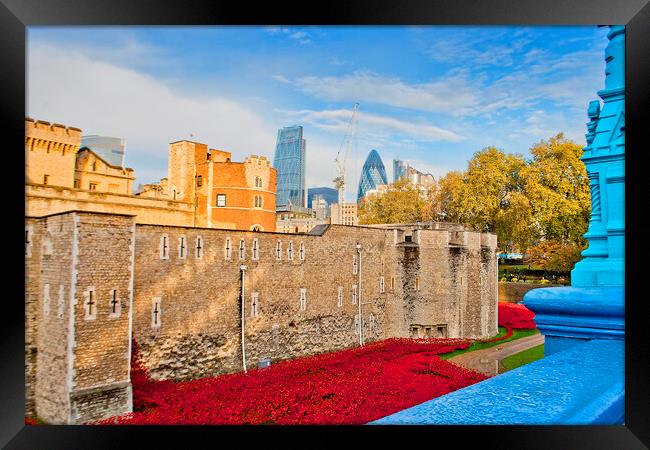 Tower of London Red Poppies England UK Framed Print by Andy Evans Photos