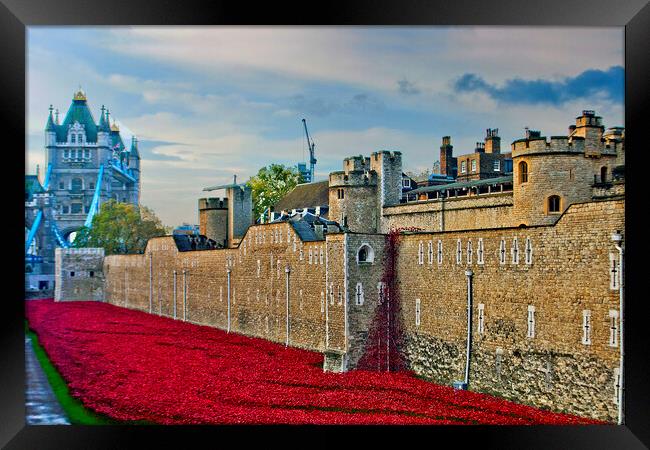 Tower of London Red Poppies England UK Framed Print by Andy Evans Photos