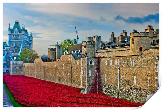 Tower of London Red Poppies England UK Print by Andy Evans Photos