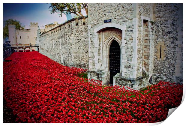 Tower of London Red Poppies England UK Print by Andy Evans Photos