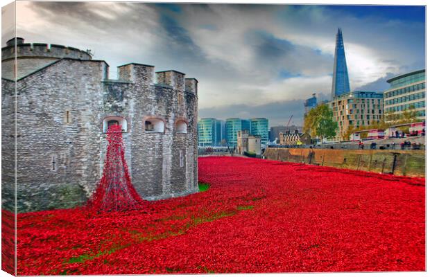 Tower of London Red Poppy Poppies Canvas Print by Andy Evans Photos