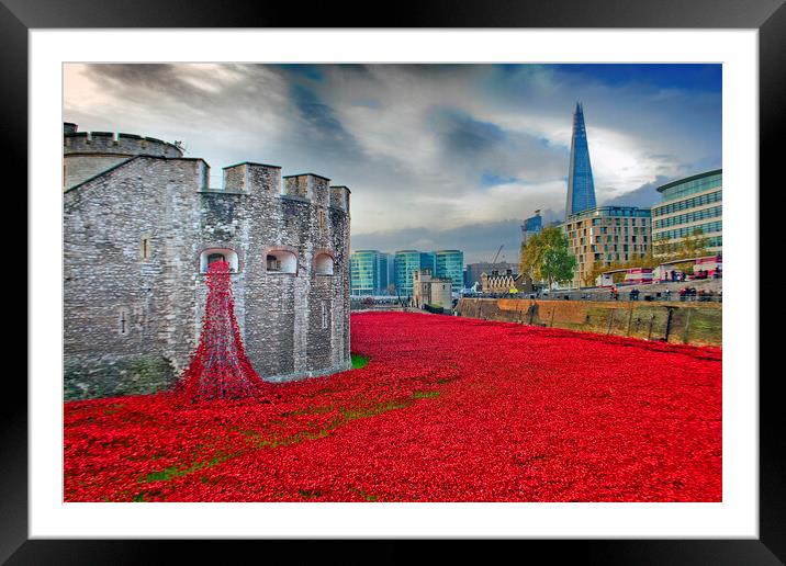 Tower of London Red Poppy Poppies Framed Mounted Print by Andy Evans Photos