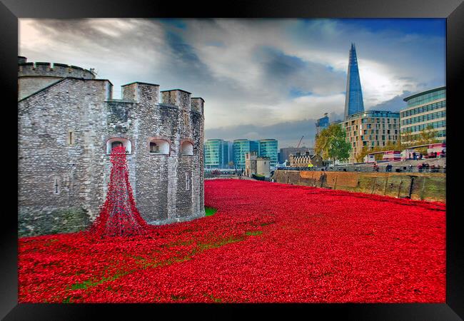 Tower of London Red Poppy Poppies Framed Print by Andy Evans Photos