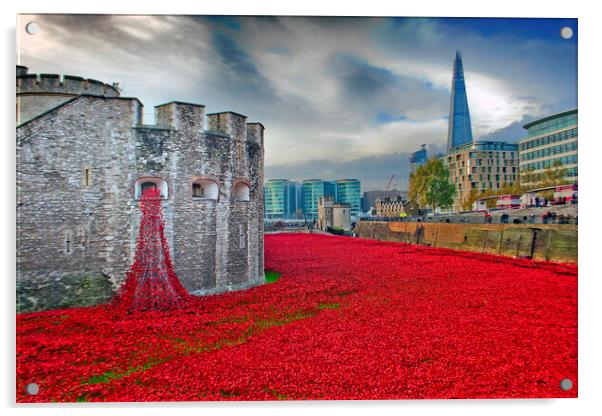 Tower of London Red Poppy Poppies Acrylic by Andy Evans Photos