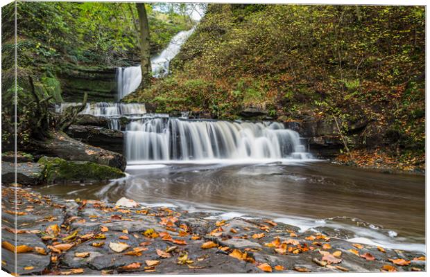 Scaleber Force at autumn Canvas Print by Jason Wells