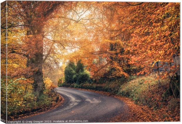 Autumnal Perthshire Canvas Print by Craig Doogan