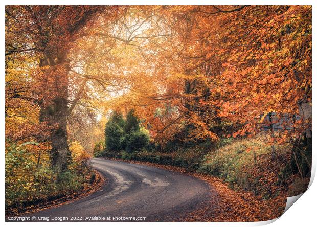 Autumnal Perthshire Print by Craig Doogan