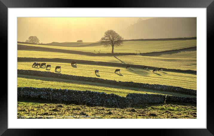 Emerald fields at Wetton  (1) Framed Mounted Print by Chris Drabble