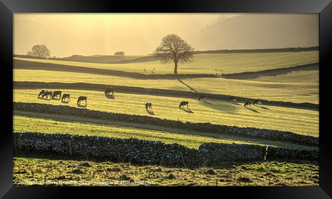 Emerald fields at Wetton  (1) Framed Print by Chris Drabble
