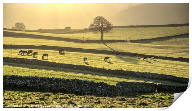 Emerald fields at Wetton  (1) Print by Chris Drabble