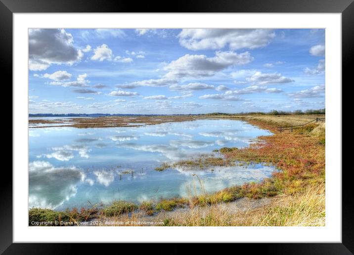 Essex Blackwater Estuary Marshes Framed Mounted Print by Diana Mower