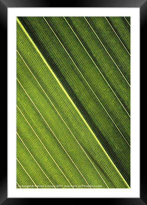 Leaf Lines I Framed Mounted Print by Natalie Kinnear