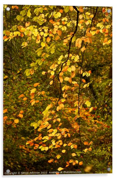 Sunlit Leaves  Acrylic by Simon Johnson
