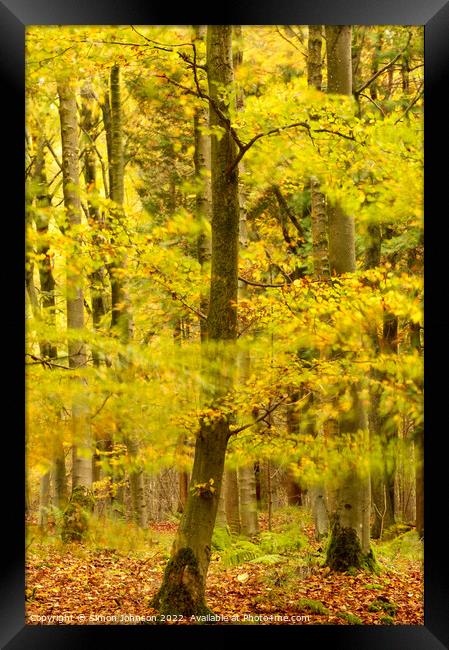 woodland breeze  Framed Print by Simon Johnson