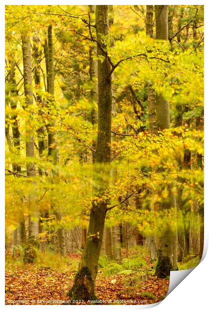 woodland breeze  Print by Simon Johnson