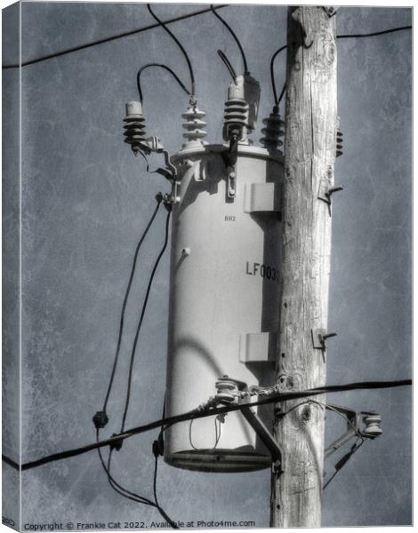 Electrical Transformer Canvas Print by Frankie Cat