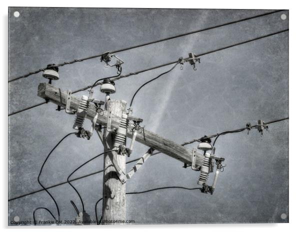 Power Pole Crossarm Acrylic by Frankie Cat