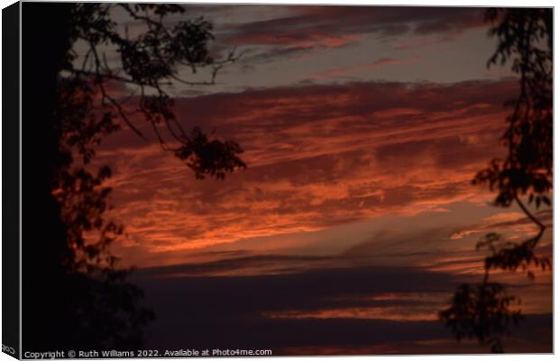 Firey Sunset with rees Canvas Print by Ruth Williams