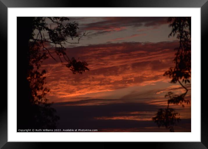 Firey Sunset with rees Framed Mounted Print by Ruth Williams