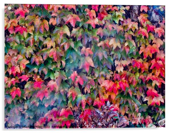 Leaves on the garden wall Acrylic by Stephanie Moore