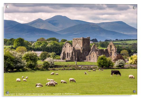 Irish Country side Acrylic by Pierre Leclerc Photography