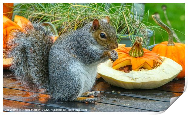 Halloween Grey Squirrel 1 Print by Helkoryo Photography