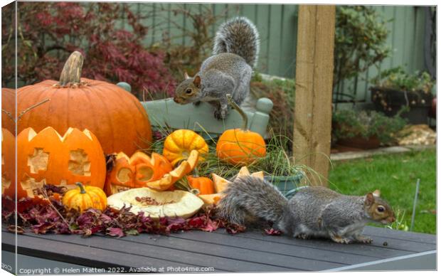 Halloween Grey Squirrel 2 Canvas Print by Helkoryo Photography