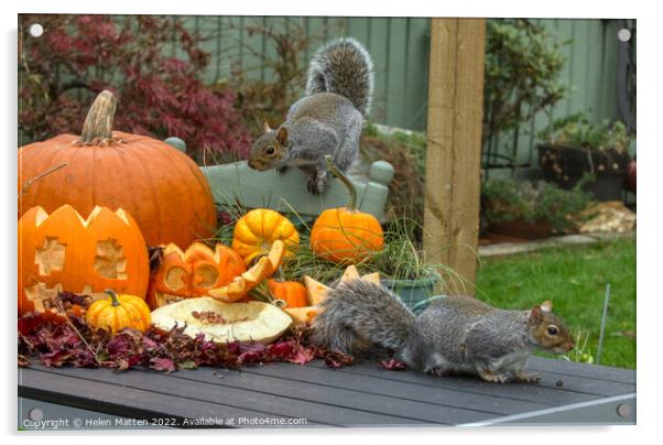 Halloween Grey Squirrel 2 Acrylic by Helkoryo Photography