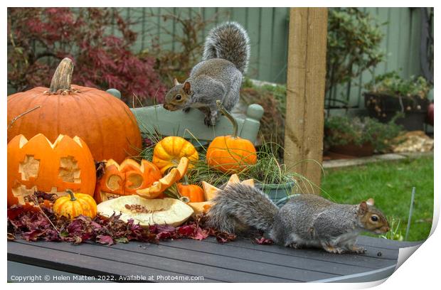 Halloween Grey Squirrel 2 Print by Helkoryo Photography