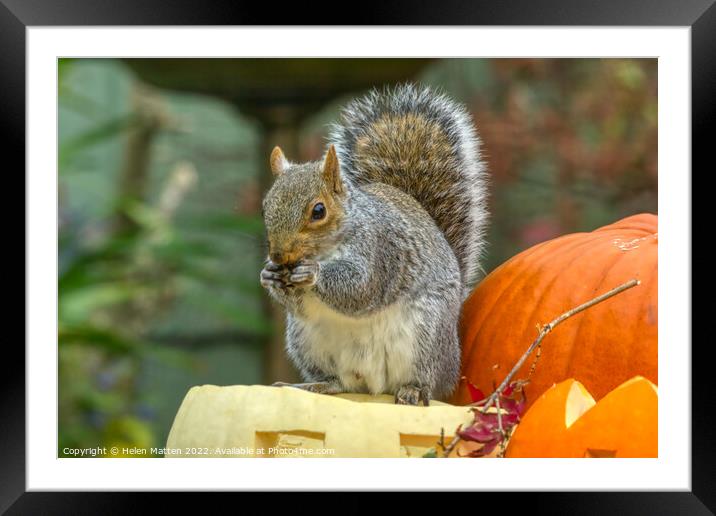 Spooky Squirrel Feast Framed Mounted Print by Helkoryo Photography