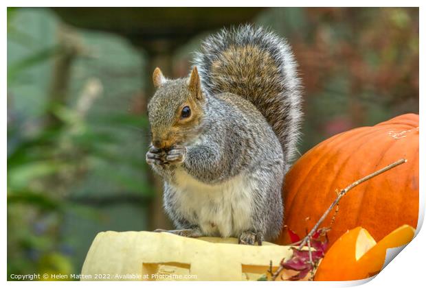 Spooky Squirrel Feast Print by Helkoryo Photography