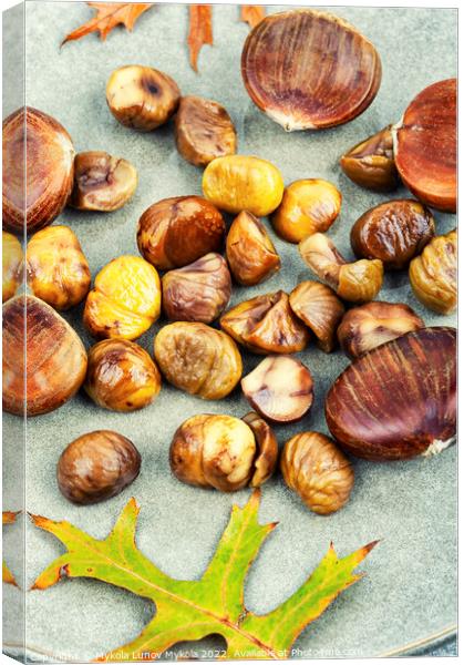 Peeled fried chestnuts, appetizing dessert. Canvas Print by Mykola Lunov Mykola