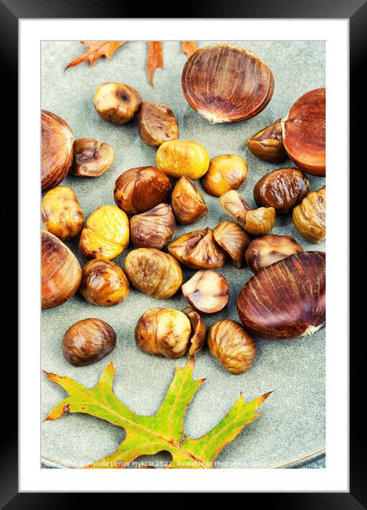 Peeled fried chestnuts, appetizing dessert. Framed Mounted Print by Mykola Lunov Mykola