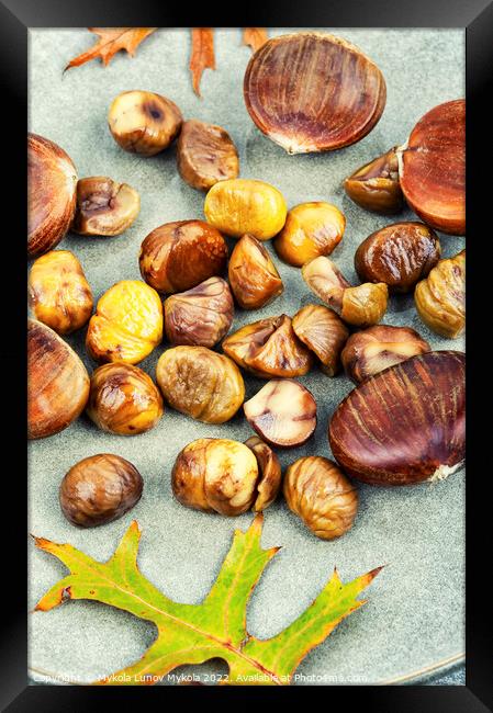 Peeled fried chestnuts, appetizing dessert. Framed Print by Mykola Lunov Mykola