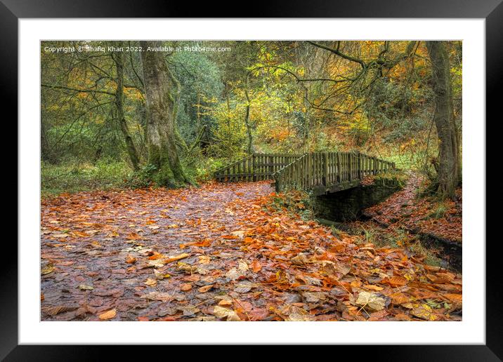Autumn Colours at Sunnyhurst Wood, Lancashire Framed Mounted Print by Shafiq Khan