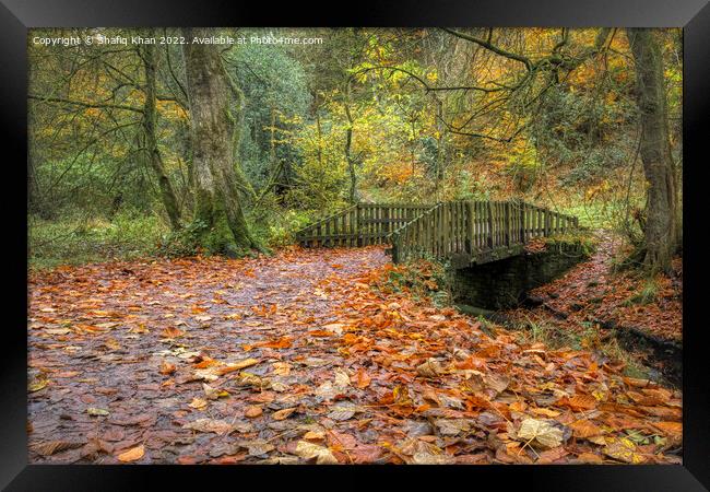 Autumn Colours at Sunnyhurst Wood, Lancashire Framed Print by Shafiq Khan