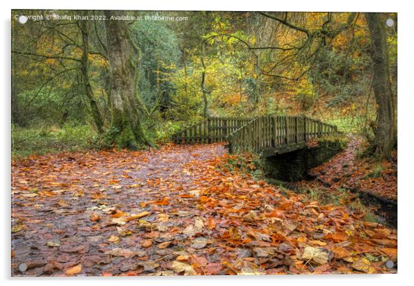 Autumn Colours at Sunnyhurst Wood, Lancashire Acrylic by Shafiq Khan