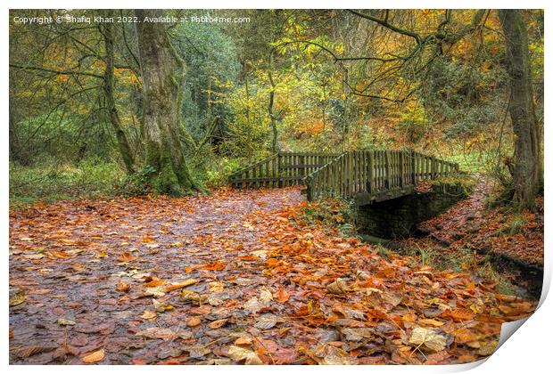 Autumn Colours at Sunnyhurst Wood, Lancashire Print by Shafiq Khan