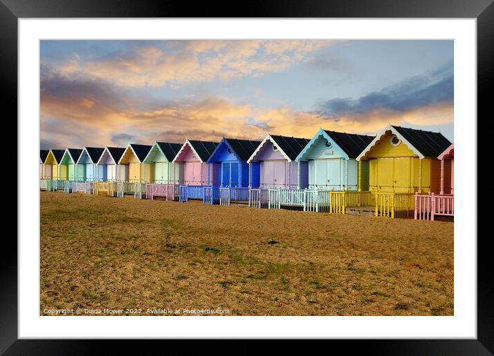West Mersea Beach Huts Sunset  Framed Mounted Print by Diana Mower